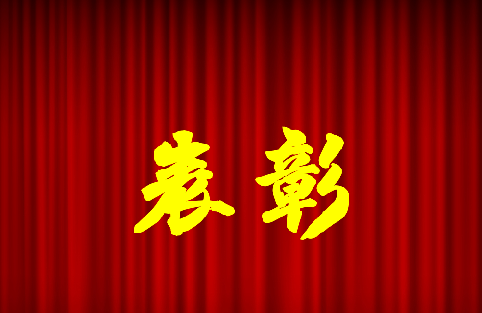 逐光前行、榮耀共鑒 | 公司2024年度表彰來(lái)啦！